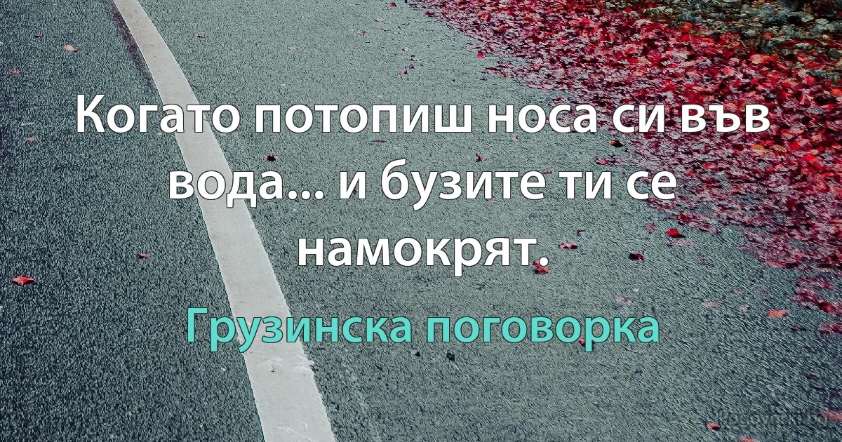 Когато потопиш носа си във вода... и бузите ти се намокрят. (Грузинска поговорка)