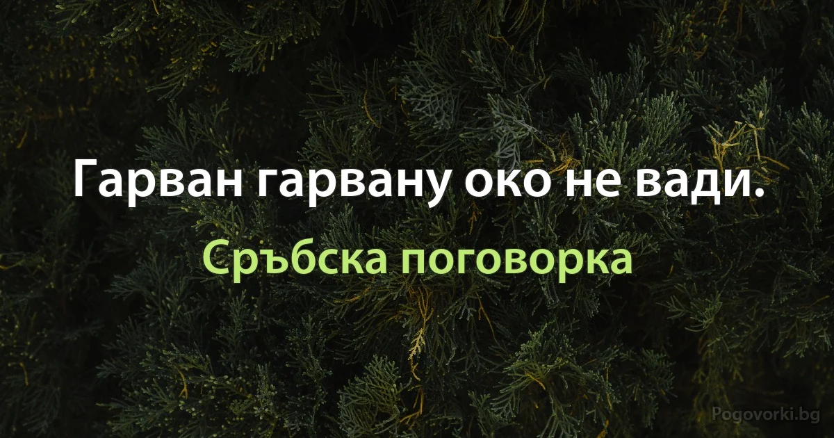 Гарван гарвану око не вади. (Сръбска поговорка)