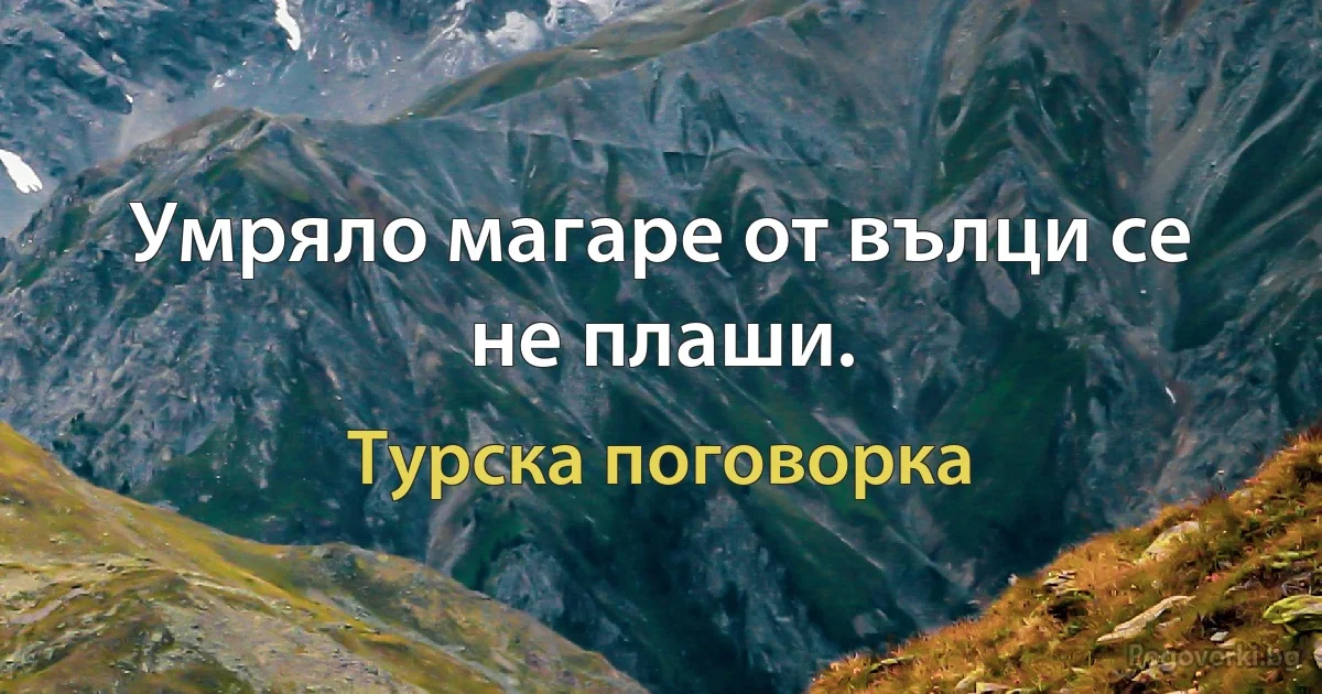 Умряло магаре от вълци се не плаши. (Турска поговорка)