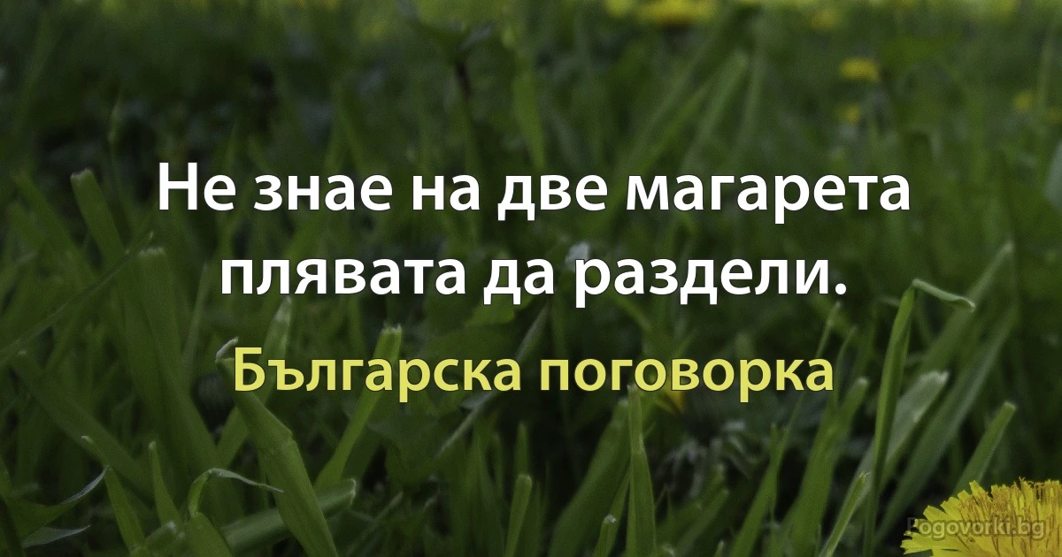 Не знае на две магарета плявата да раздели. (Българска поговорка)