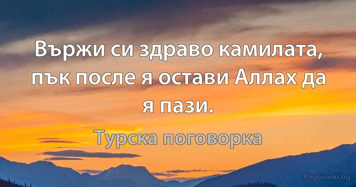 Вържи си здраво камилата, пък после я остави Аллах да я пази. (Турска поговорка)