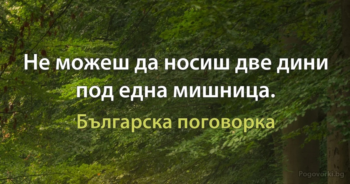 Не можеш да носиш две дини под една мишница. (Българска поговорка)