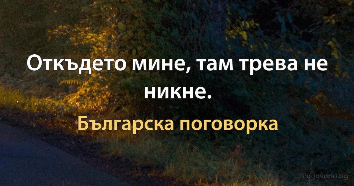 Откъдето мине, там трева не никне. (Българска поговорка)