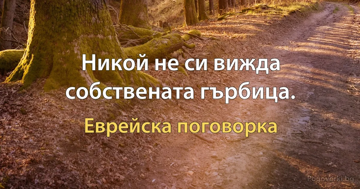 Никой не си вижда собствената гърбица. (Еврейска поговорка)