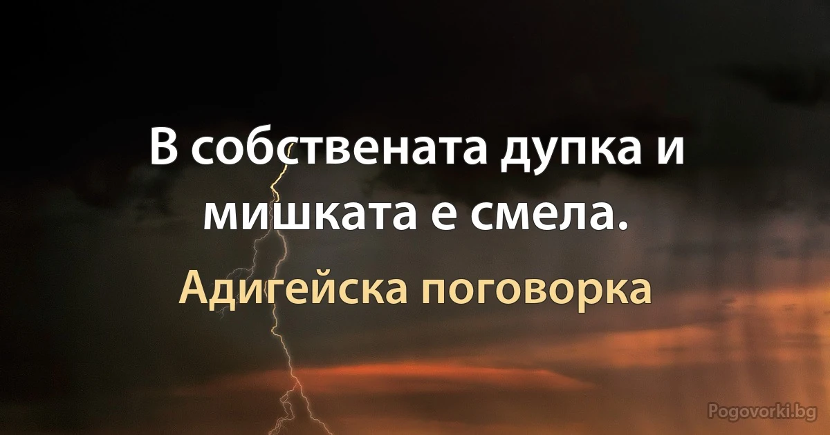 В собствената дупка и мишката е смела. (Адигейска поговорка)