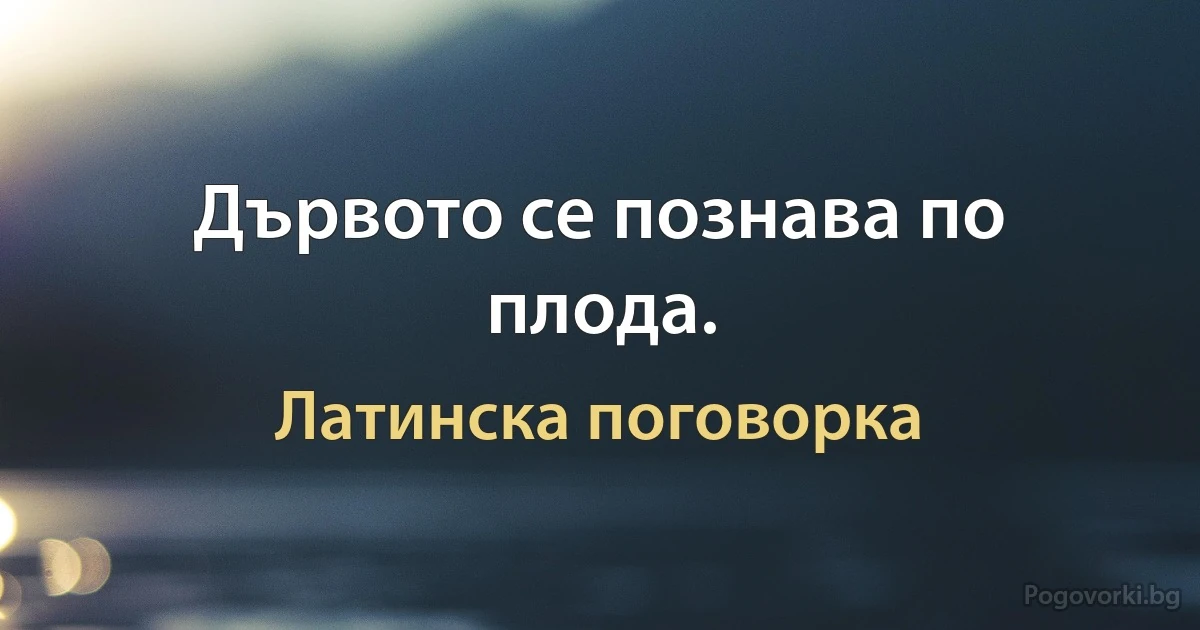 Дървото се познава по плода. (Латинска поговорка)