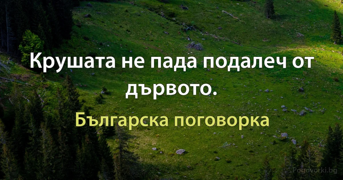 Крушата не пада подалеч от дървото. (Българска поговорка)