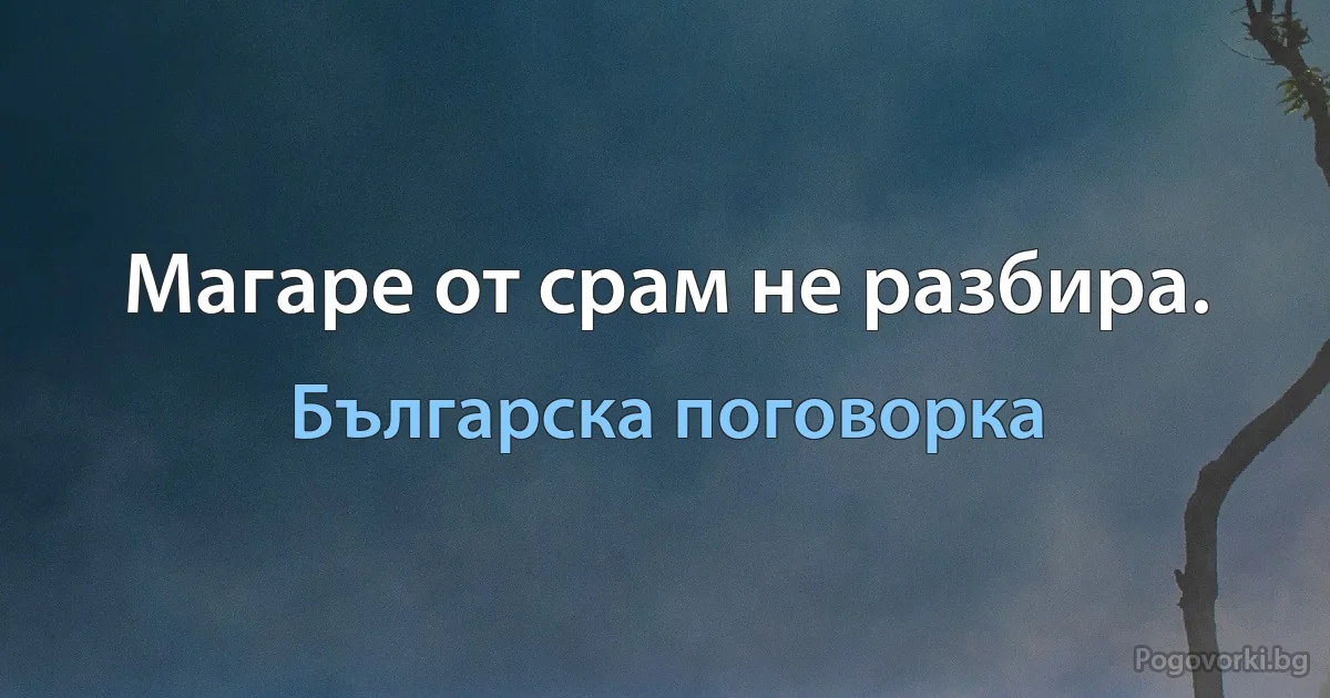 Магаре от срам не разбира. (Българска поговорка)