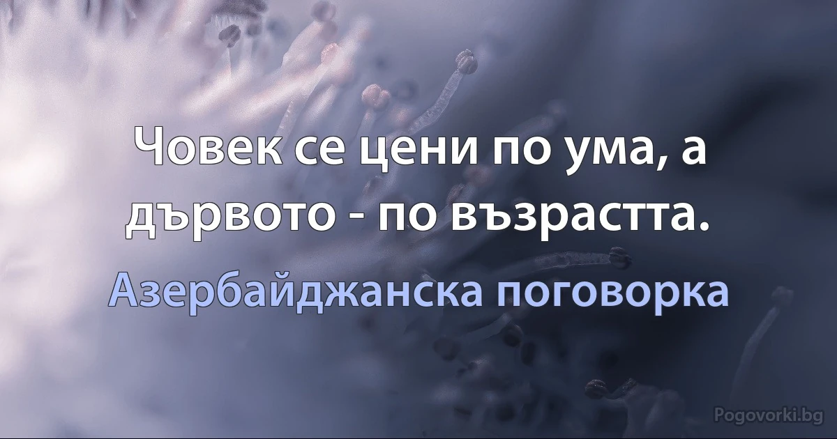 Човек се цени по ума, а дървото - по възрастта. (Азербайджанска поговорка)