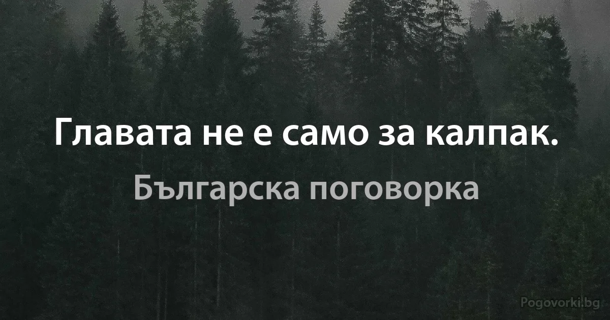 Главата не е само за калпак. (Българска поговорка)