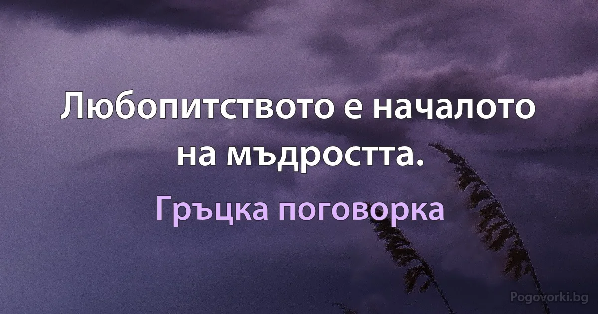 Любопитството е началото на мъдростта. (Гръцка поговорка)