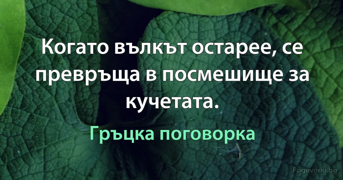 Когато вълкът остарее, се превръща в посмешище за кучетата. (Гръцка поговорка)