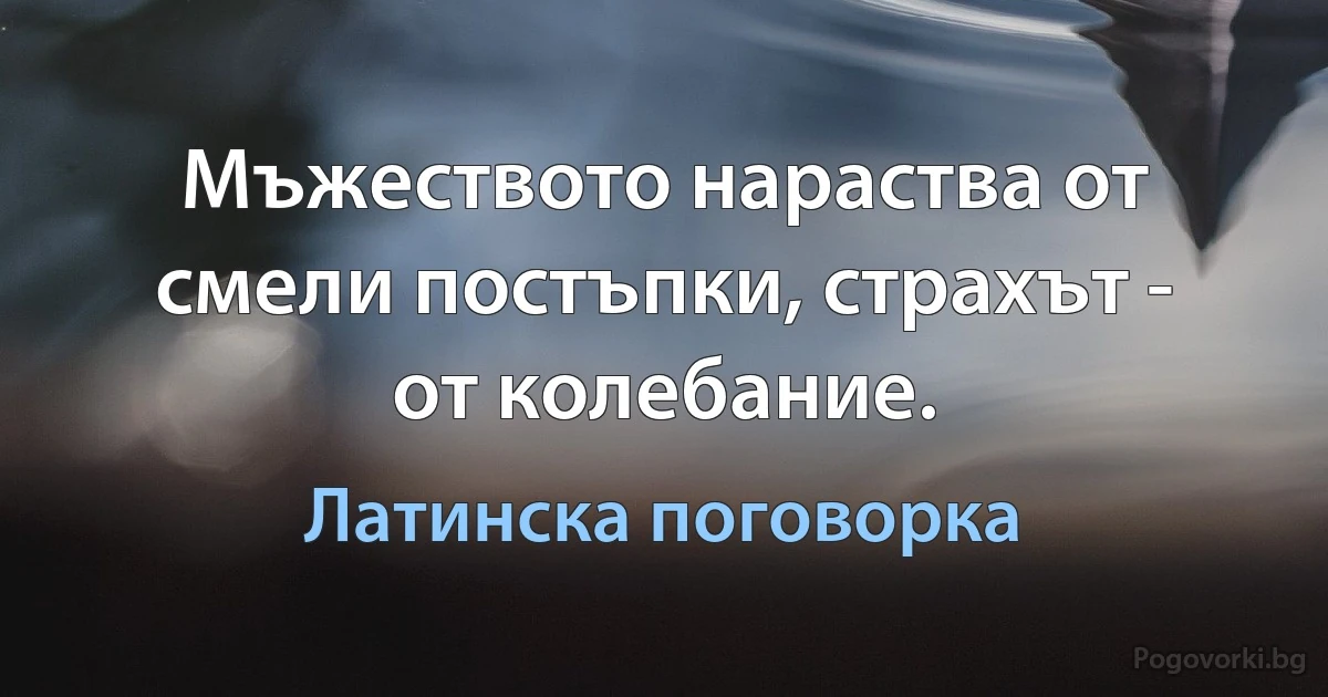 Мъжеството нараства от смели постъпки, страхът - от колебание. (Латинска поговорка)