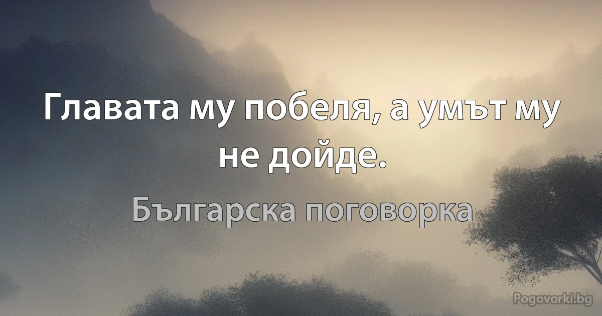 Главата му побеля, а умът му не дойде. (Българска поговорка)