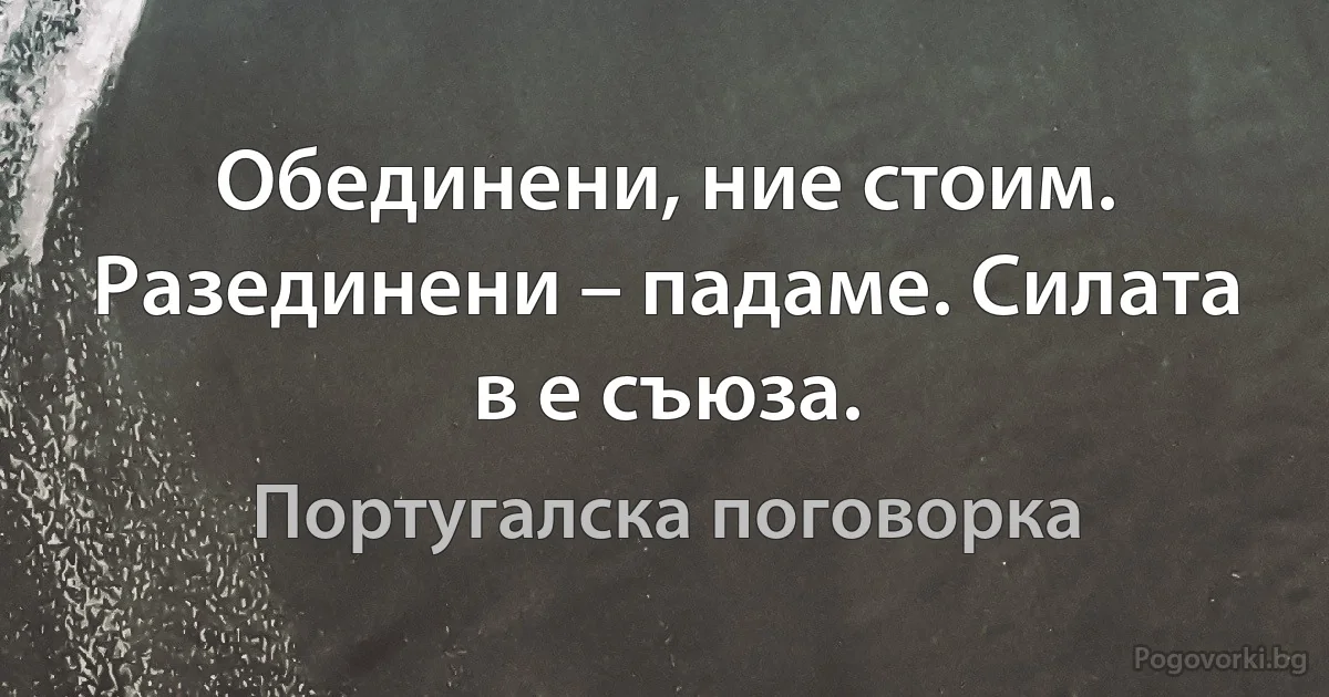 Обединени, ние стоим. Разединени – падаме. Силата в е съюза. (Португалска поговорка)
