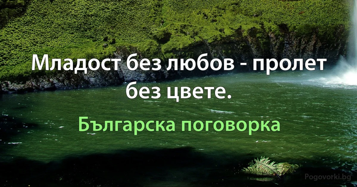 Младост без любов - пролет без цвете. (Българска поговорка)