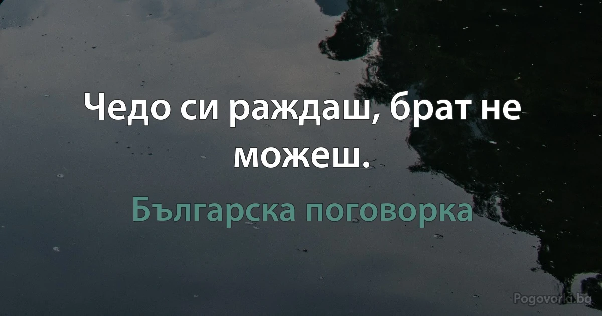 Чедо си раждаш, брат не можеш. (Българска поговорка)