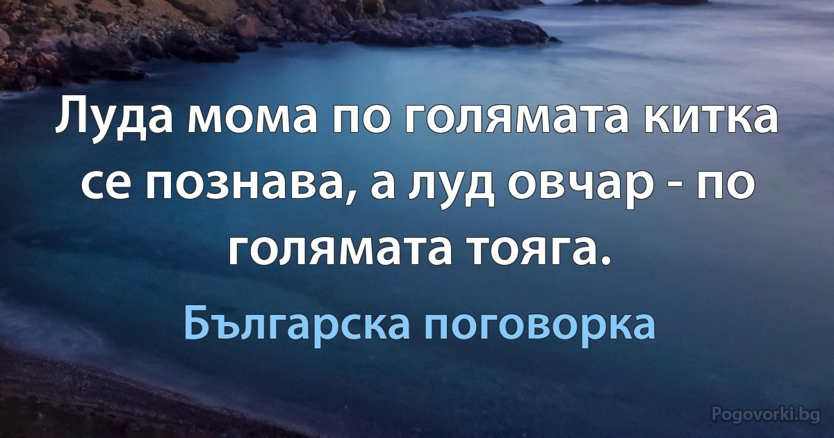 Луда мома по голямата китка се познава, а луд овчар - по голямата тояга. (Българска поговорка)