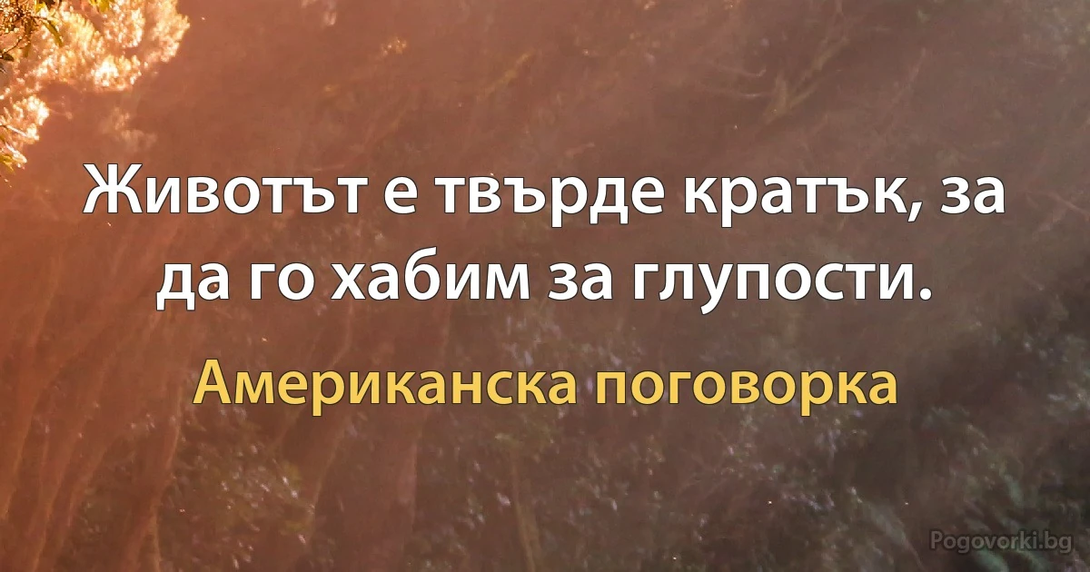 Животът е твърде кратък, за да го хабим за глупости. (Американска поговорка)