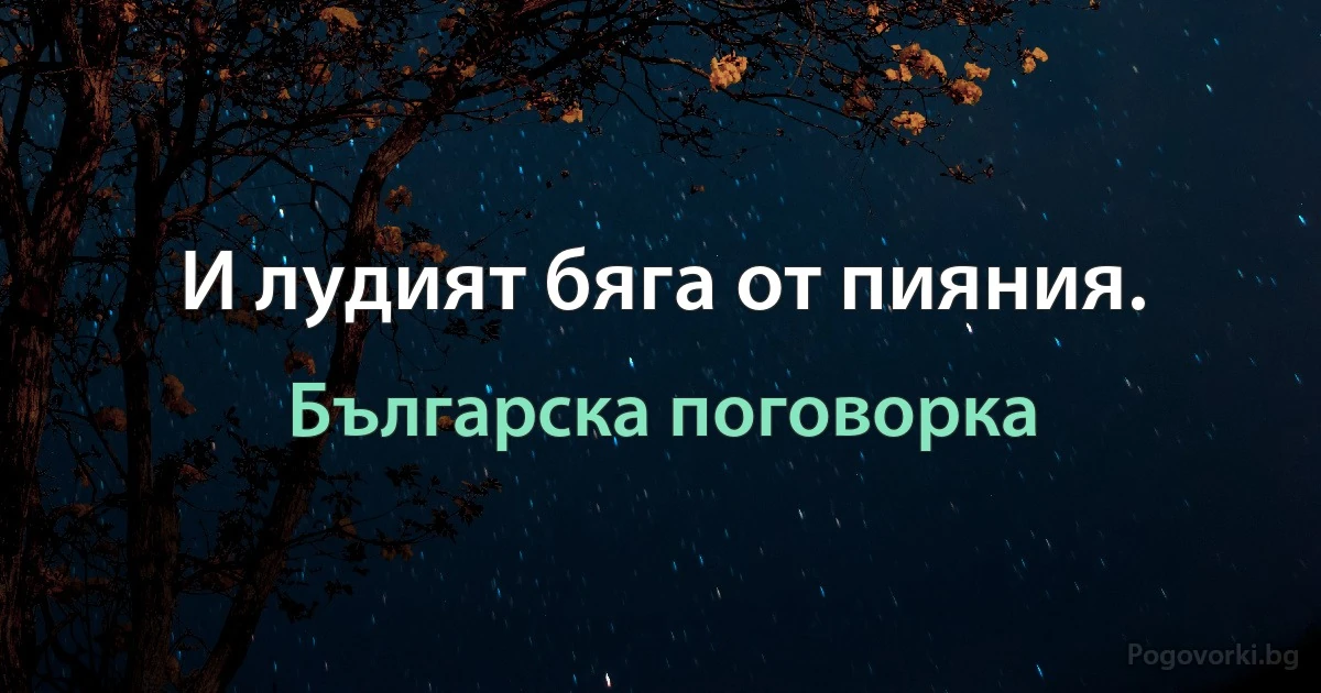 И лудият бяга от пияния. (Българска поговорка)