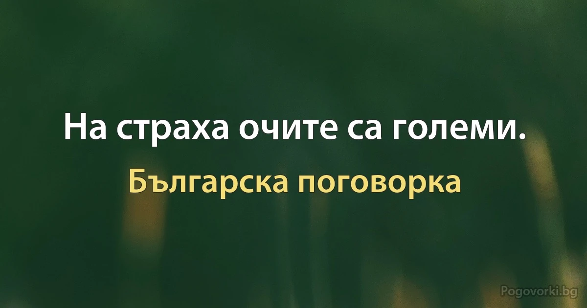 На страха очите са големи. (Българска поговорка)