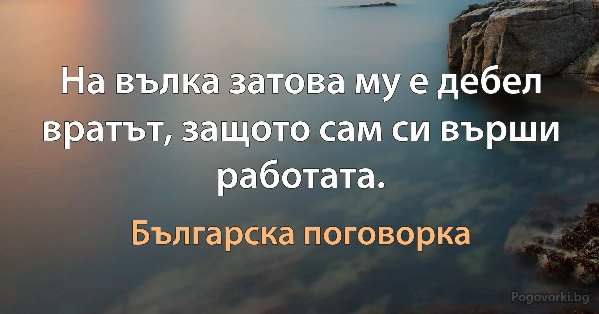 На вълка затова му е дебел вратът, защото сам си върши работата. (Българска поговорка)