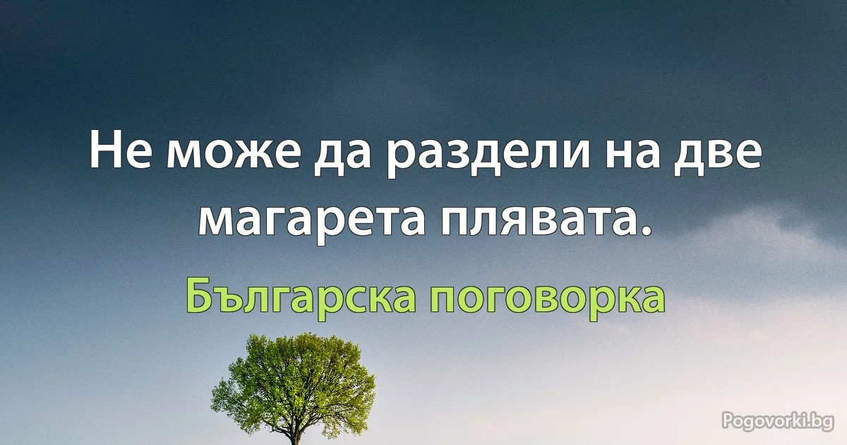 Не може да раздели на две магарета плявата. (Българска поговорка)