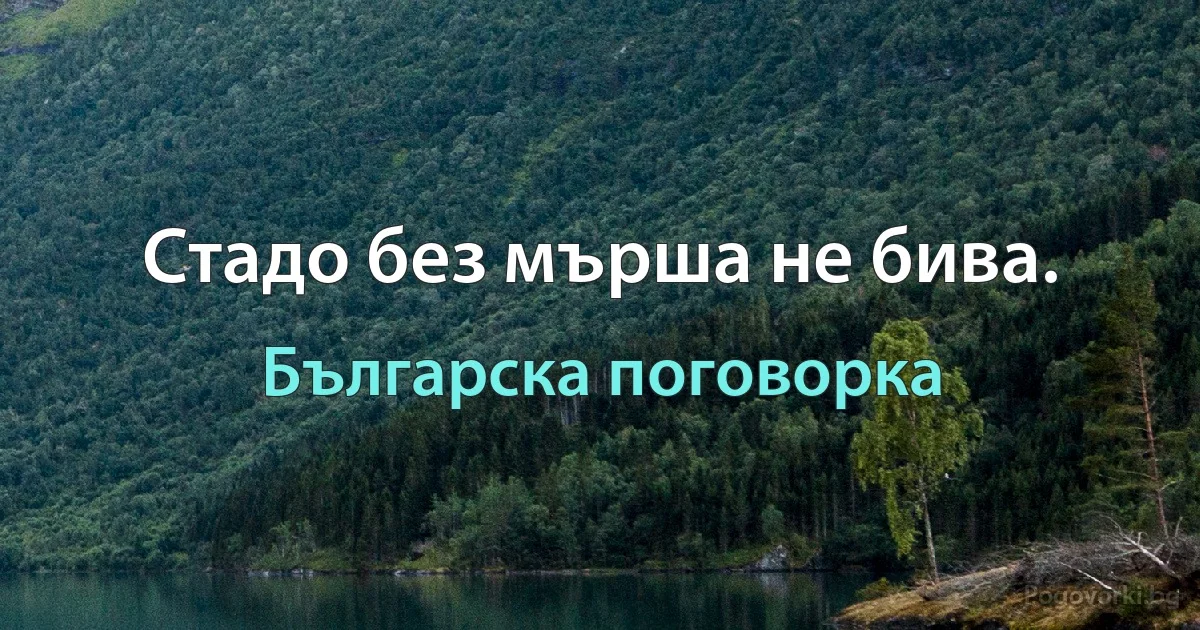 Стадо без мърша не бива. (Българска поговорка)