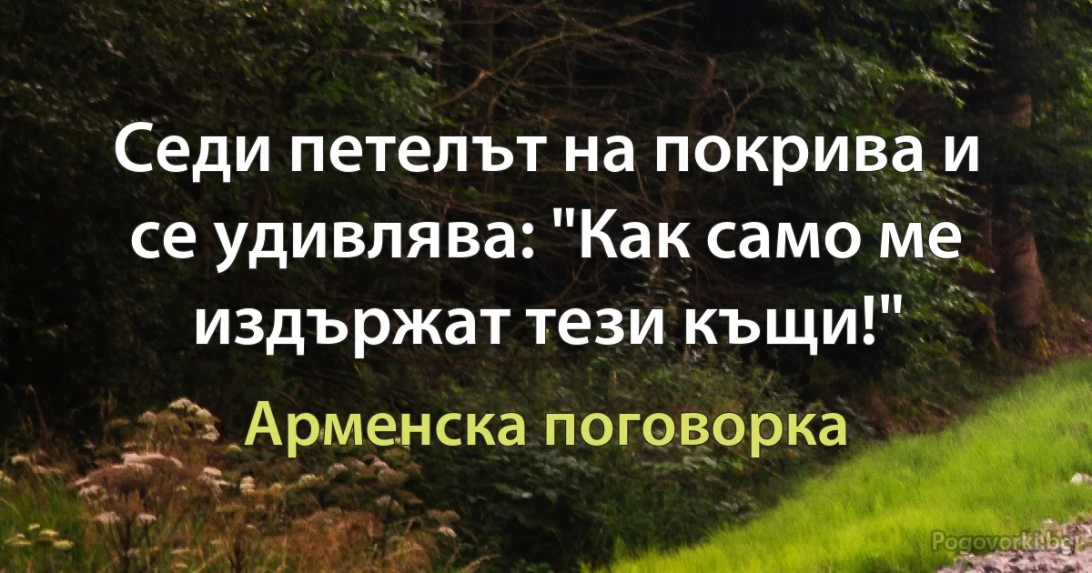 Седи петелът на покрива и се удивлява: "Как само ме издържат тези къщи!" (Арменска поговорка)