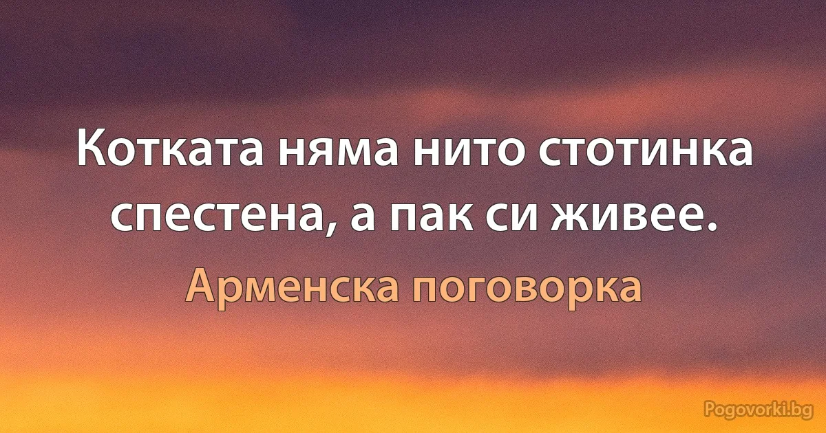 Котката няма нито стотинка спестена, а пак си живее. (Арменска поговорка)