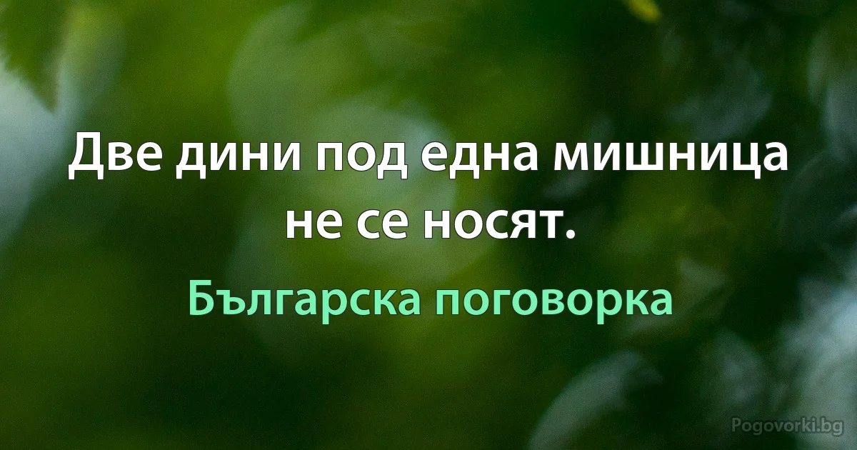 Две дини под една мишница не се носят. (Българска поговорка)