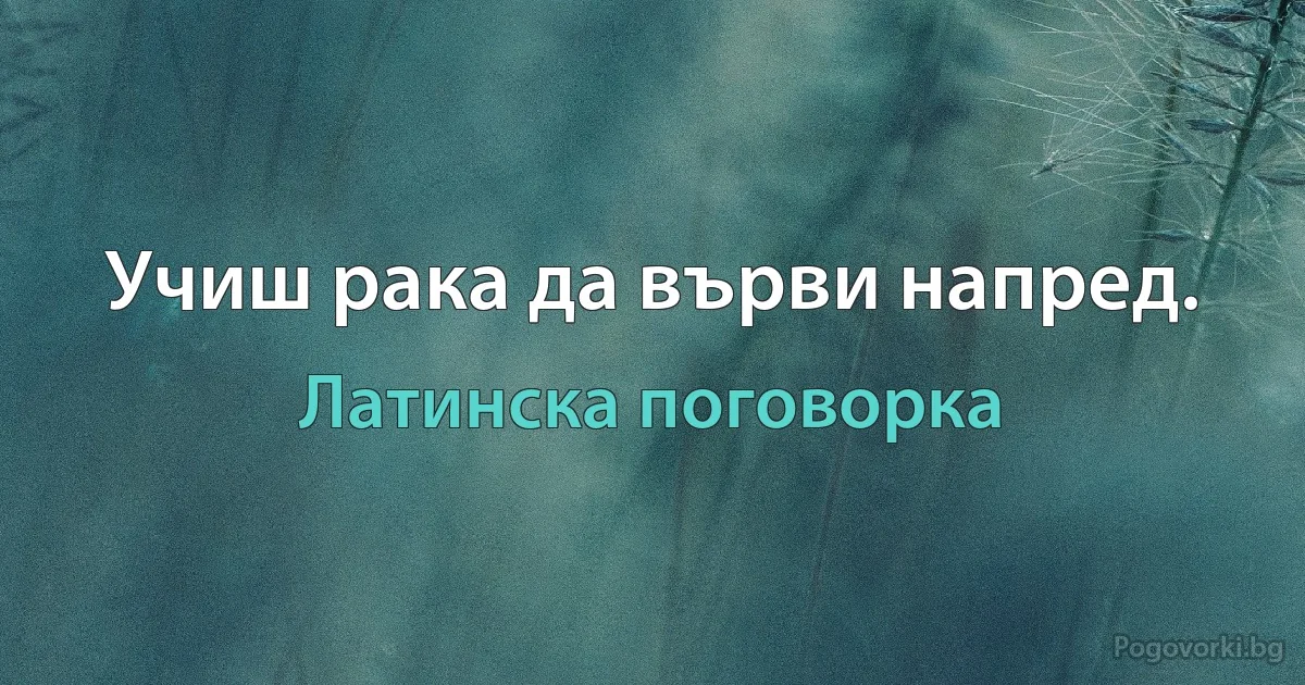 Учиш рака да върви напред. (Латинска поговорка)