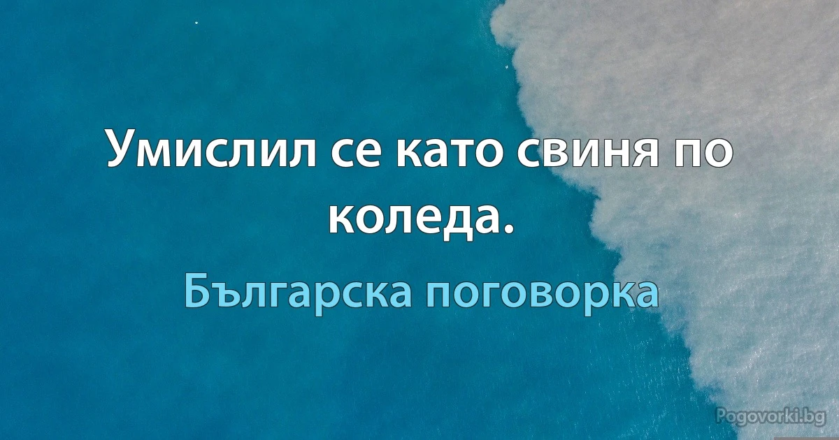 Умислил се като свиня по коледа. (Българска поговорка)