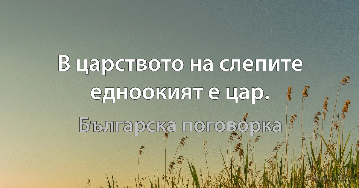 В царството на слепите едноокият е цар. (Българска поговорка)