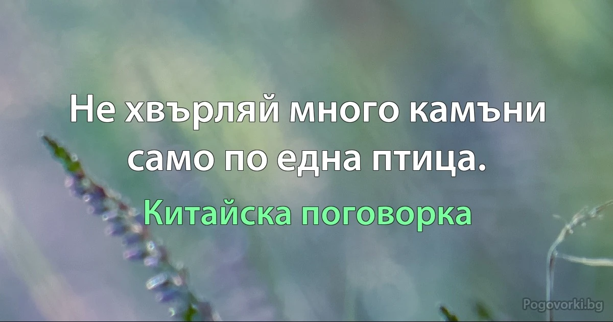 Не хвърляй много камъни само по една птица. (Китайска поговорка)