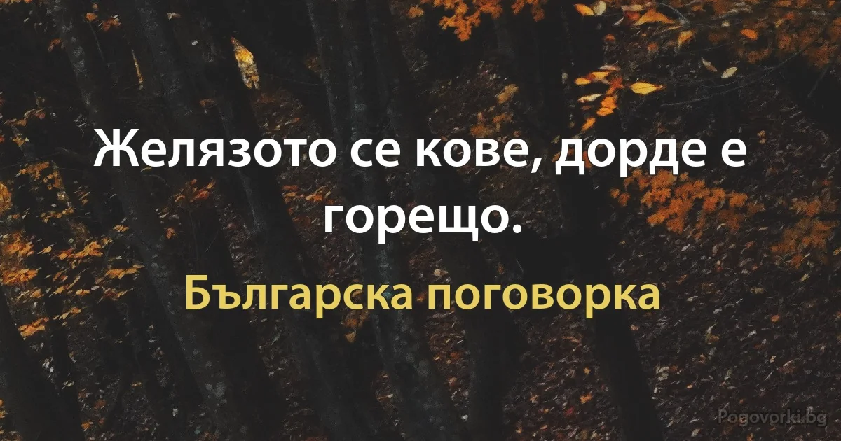 Желязото се кове, дорде е горещо. (Българска поговорка)