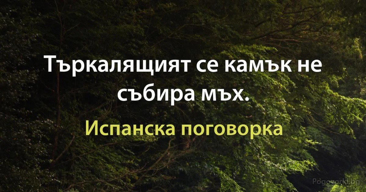 Търкалящият се камък не събира мъх. (Испанска поговорка)