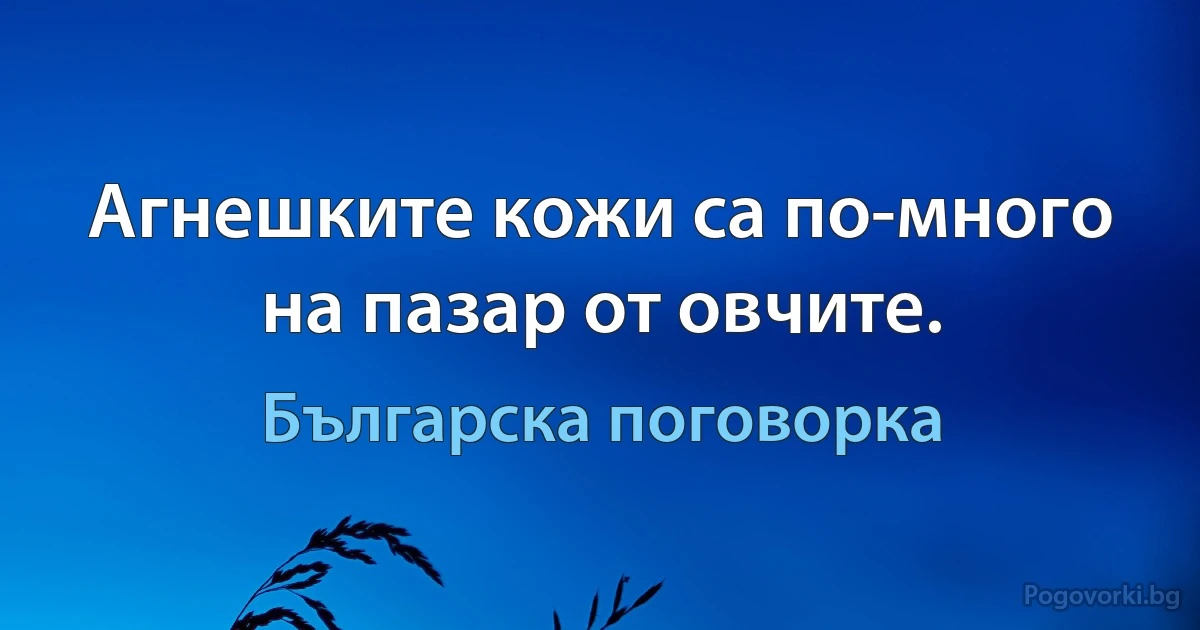 Агнешките кожи са по-много на пазар от овчите. (Българска поговорка)