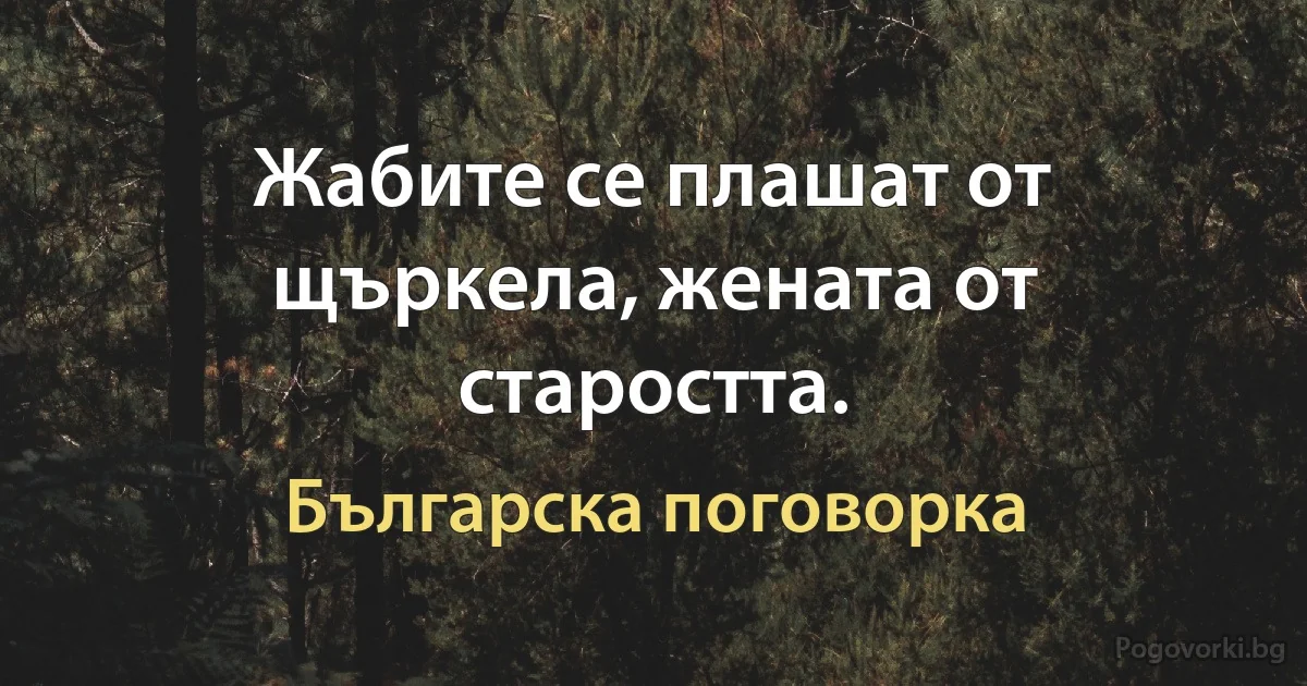 Жабите се плашат от щъркела, жената от старостта. (Българска поговорка)