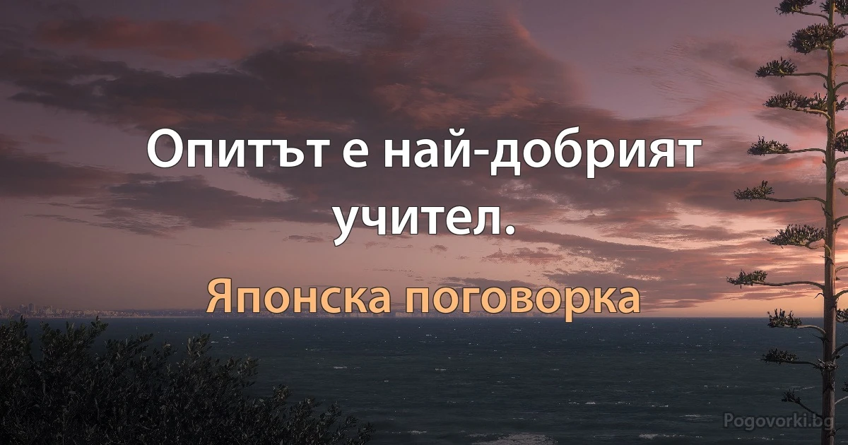 Опитът е най-добрият учител. (Японска поговорка)