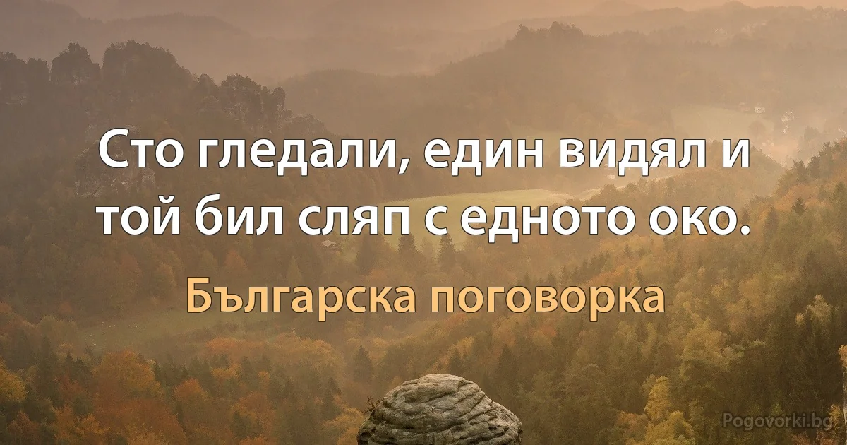 Сто гледали, един видял и той бил сляп с едното око. (Българска поговорка)