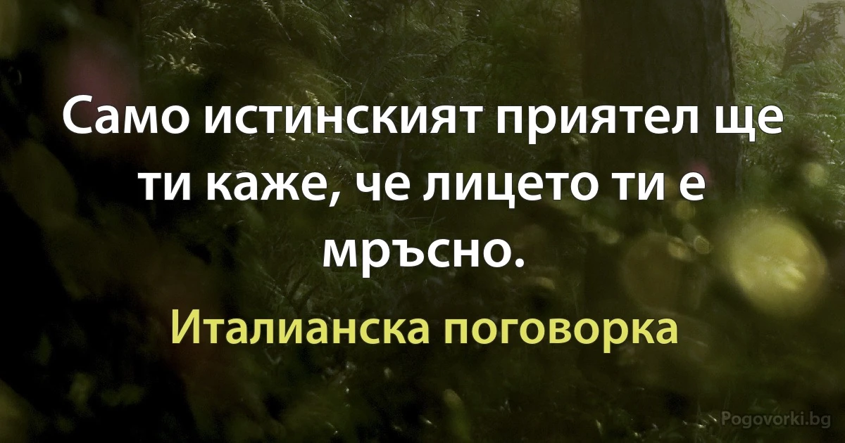 Само истинският приятел ще ти каже, че лицето ти е мръсно. (Италианска поговорка)