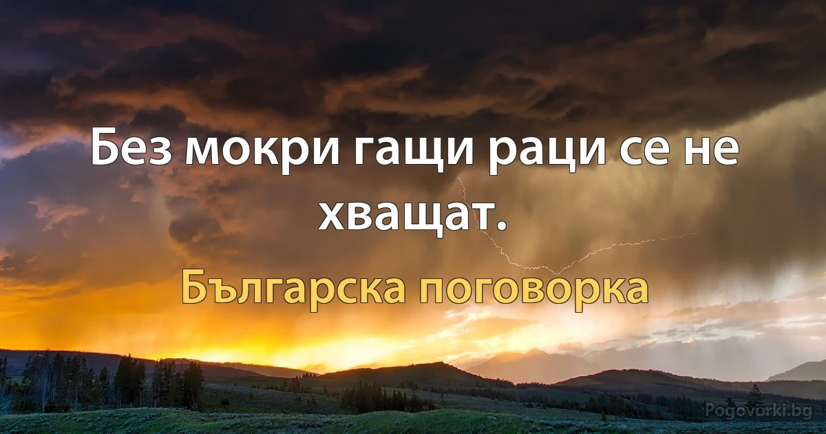 Без мокри гащи раци се не хващат. (Българска поговорка)