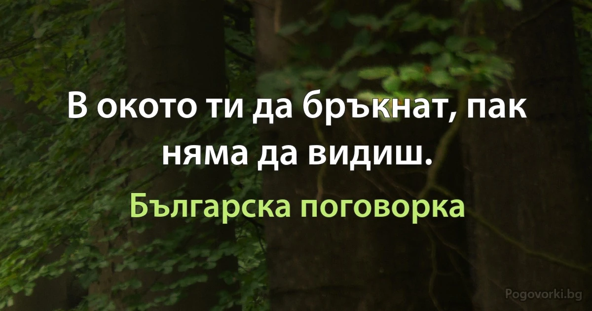 В окото ти да бръкнат, пак няма да видиш. (Българска поговорка)