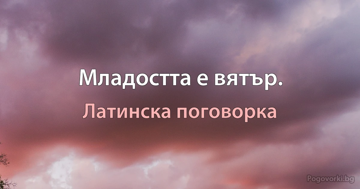 Младостта е вятър. (Латинска поговорка)