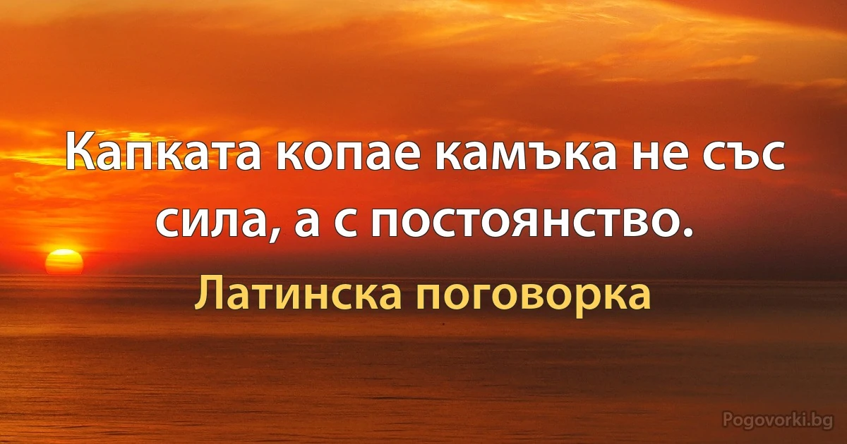 Капката копае камъка не със сила, а с постоянство. (Латинска поговорка)