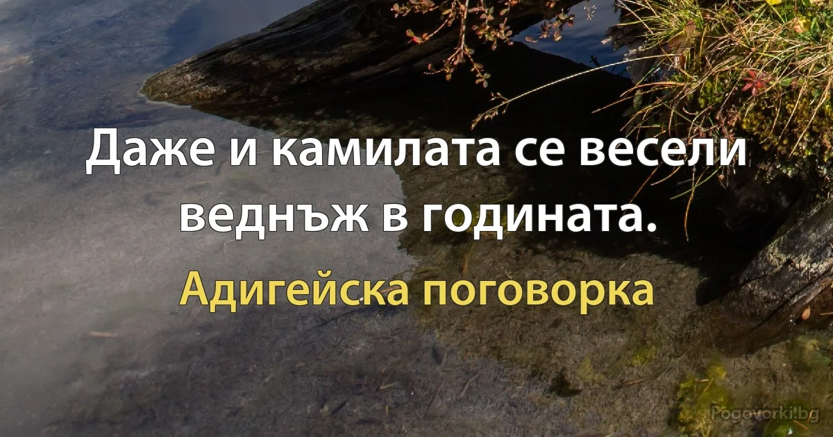 Даже и камилата се весели веднъж в годината. (Адигейска поговорка)