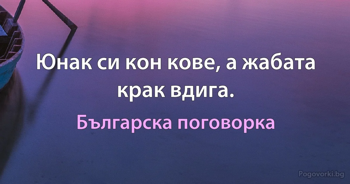 Юнак си кон кове, а жабата крак вдига. (Българска поговорка)