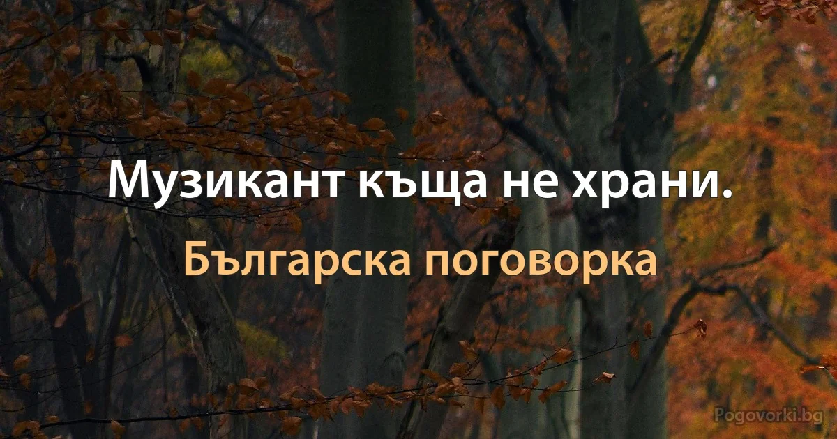 Музикант къща не храни. (Българска поговорка)