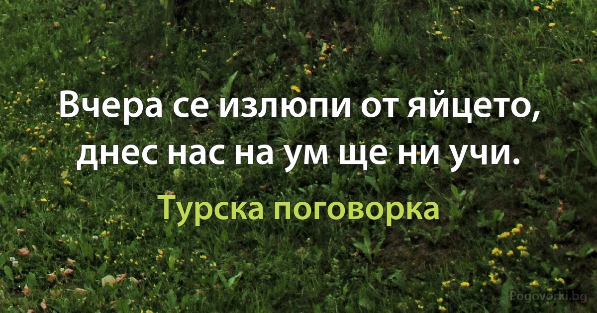 Вчера се излюпи от яйцето, днес нас на ум ще ни учи. (Турска поговорка)